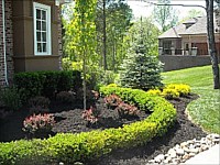 Landscaping